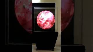 100 cm Holo Display