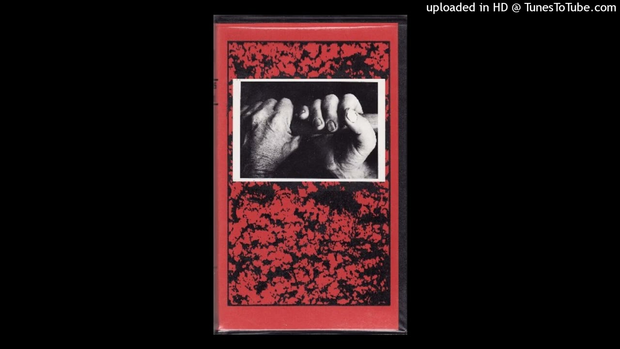 Analog Attack - Hass