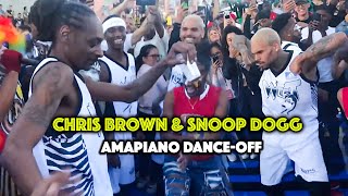 Chris Brown and Snoop Dogg Dances to Amapiano African Music