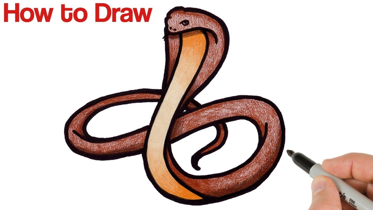 How to Draw King Cobra?