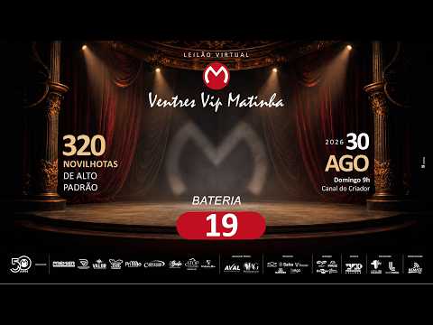 BATERIA 19