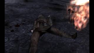 Fallout: New Vegas Killing Violet