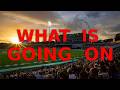 CRAZIEST Reasons To Stop A Cricket Match