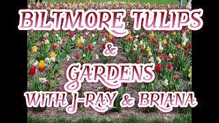 Biltmore Tulips and Gardens