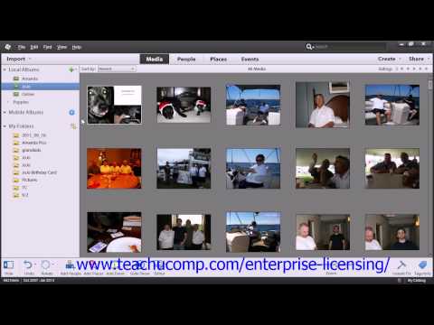 Adobe Photoshop Elements 12 Tutorial The Organizer Employee Group Training  2.8