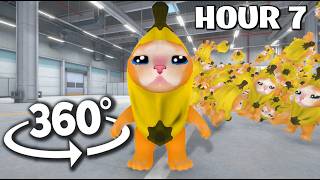 360° BANANA CAT, but its doubled 32,768 Times.... | 4K VR 360 Video