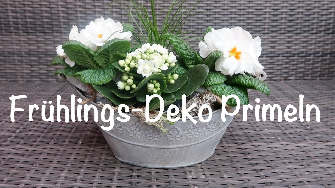 FRÜHLINGSDEKO mit Primeln in der Zinkwanne #DIY * Kirsty Coco