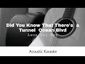 Lana del rey  did you know that theres a tunnel under ocean blvd acoustic karaoke