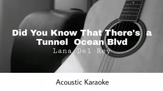 Lana Del Rey - Did You Know That Theres A Tunnel Under Ocean Blvd Acoustic Karaoke