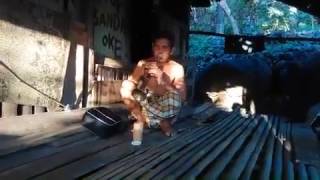 Download Lagu Jeko Sarone Mbojo MP3