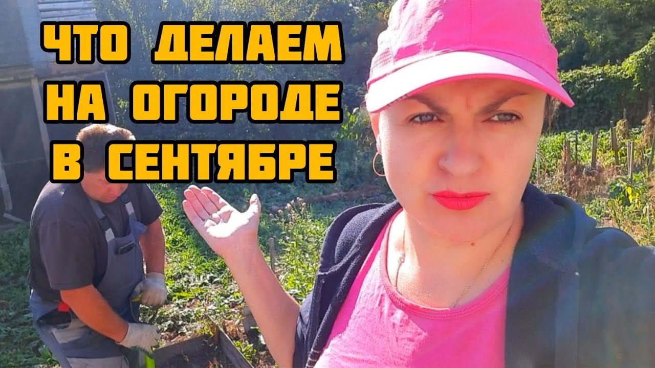 ПОДГОТОВКА К ЗИМЕ: ГРЯДКИ ПОД ЧЕСНОК,?? А ТАК ЖЕ ПОСЛЕДНИЙ УРОЖАЙ ПЕРЦА ...