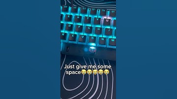 Give Me Some Space😭😭😭 #funny #memes #keyboard #gaming #viralvideo #gamingsetup #tech #pcgaming