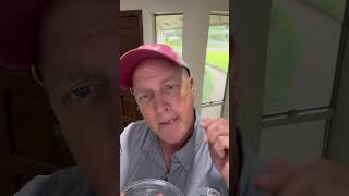 Prop Maggots You Can Eat