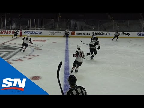 Michael Bunting's Hat-Trick Holds Up After Offside Video Review