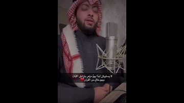 ما تيسر من سورة الطور 🤍🍃 | الشيخ أحمد النفيس