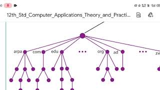 Celebrity 12th computer application lesson 12 DNS Net Worth