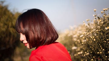 Đông Cúc Họa Mi [ Cao Tùng Anh ]