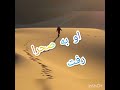 شعر زیبا از محمدی