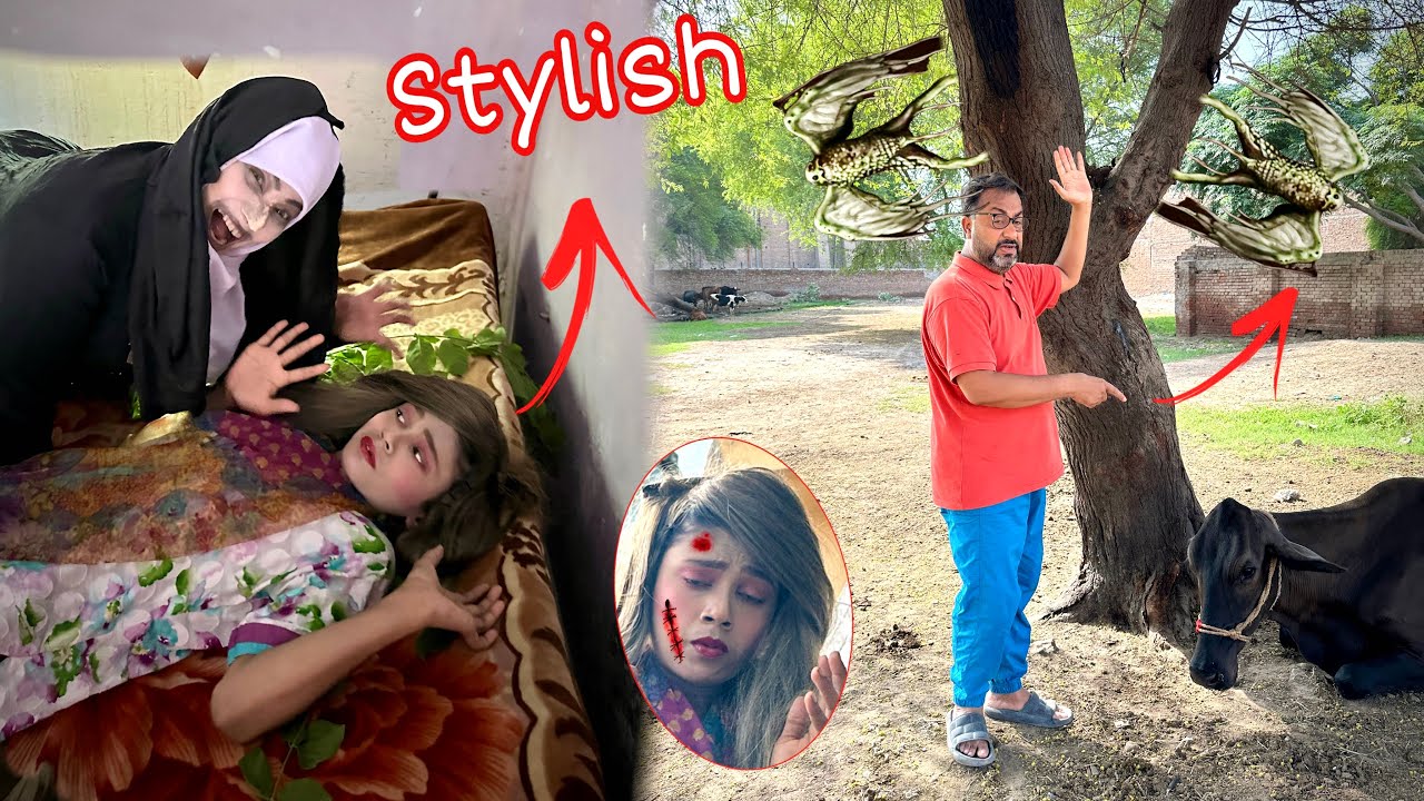 Scary￼ nun stylish 😨ko kahan la gaye 😱 ￼