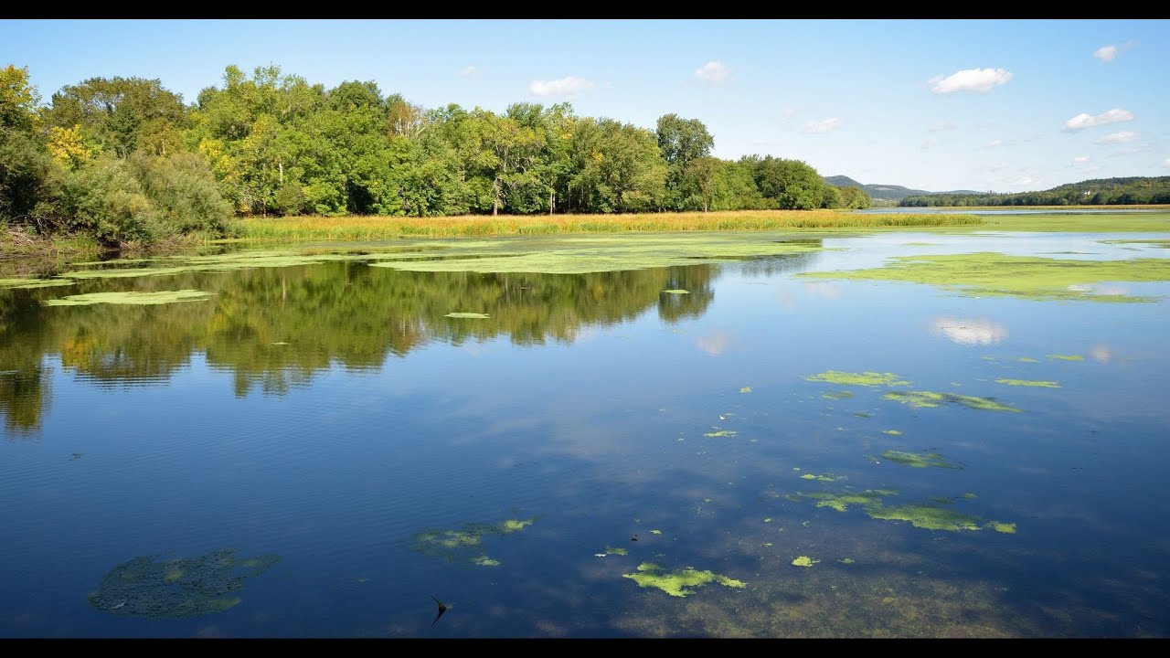 EOS Eco-Energy - Water Quality Monitoring in the Cape Tormentine Peninsula Watershed