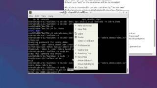 Celebrity 003. Execute command with pipe(|) in docker container form host Net Worth