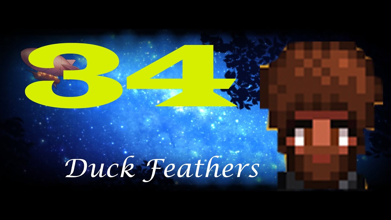Stardew Valley How To Get Duck Feather