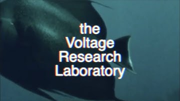Pittsburgh Modular Documentary Films Presents: the Voltage Research Laboratory - Episode 2