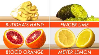 Picking The Right Citrus For Every Recipe - The Big Guide | Epicurious