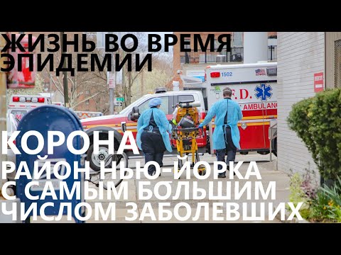 Видео: На каком уровне covid находится Йорк?