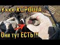 ЭХ ЗАЧЕТ!!! ГЛАЗ НЕ ОТОРВАТЬ ОТ ТАКИХ НАХОДОК-коп по берегам рек и находки из воды! ctx 3030