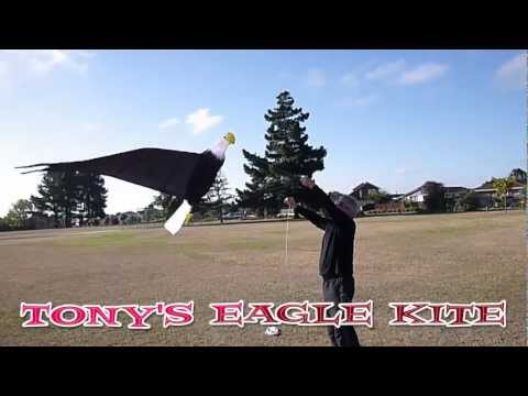 Tony's Eagle kite