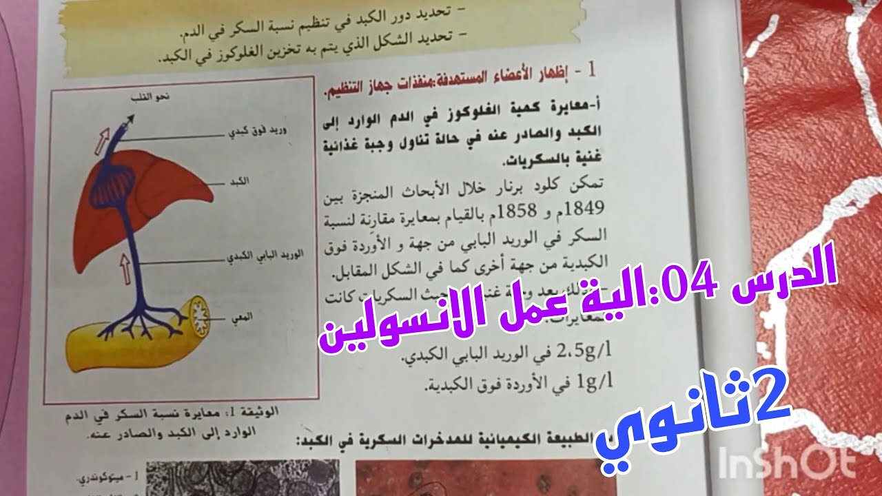الدرس 04:اليه عمل الانسولين ،علوم طبيعية ثانية ثانوي شعبة علوم تجريبية