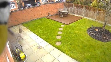 An interested bird - Recorded by Netatmo