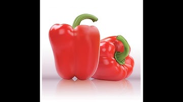 1200 Guide 7 • Gradient Mesh Main Tutorial Movie