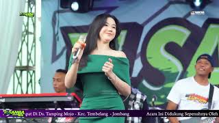 Download Lagu Camelia - Cantika Nuswantoro - ELSAMBA LIVE TAMPINGMOJO - SS AUDIO MP3