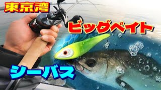はじめてのビッグベイト シーバス 【東京湾】