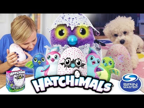 Hatchimals Jajko, Spin Master - Unboxing - Część 1