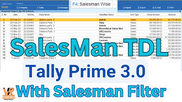 Salesman TDL for Tally Prime with Boost Sales | Tally TDL