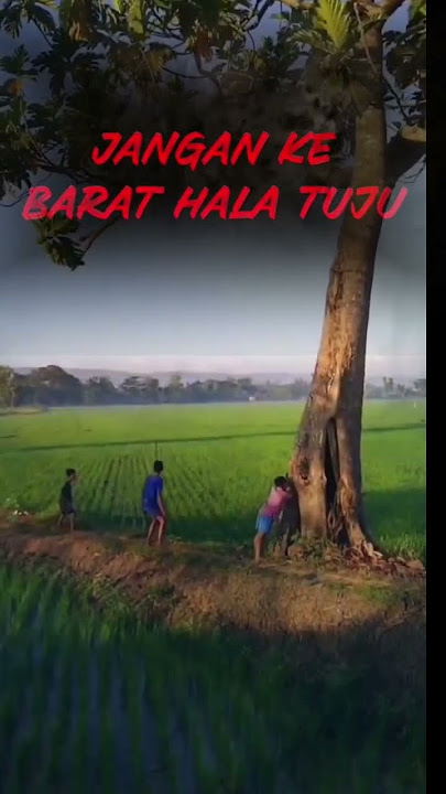 Rasa sayang sayang | amsharlee