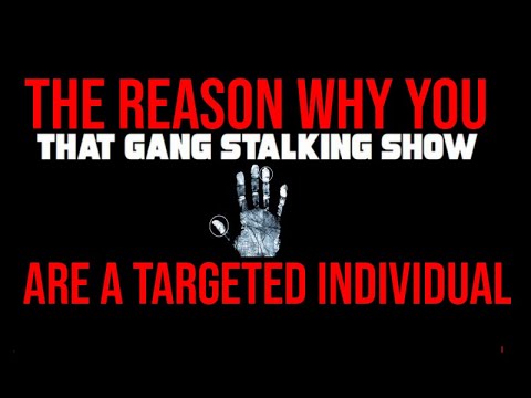 The Real Reason Why You Are A Targeted Individual