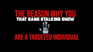 Celebrity The Real Reason Why You Are A Targeted Individual Net Worth