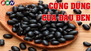 Công Dụng Của Đậu Đen Xanh Lòng - Thần Dược Có Tác Dụng Chữa Trị Bách Bệnh - Ngọc Hân Bùi
