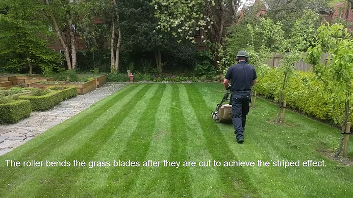 How to get amazing stripes in your lawn - Easy!