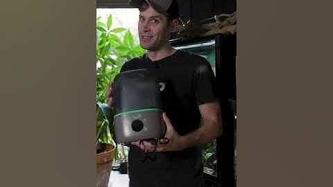 Leap Fogger Cleaning And Setup!