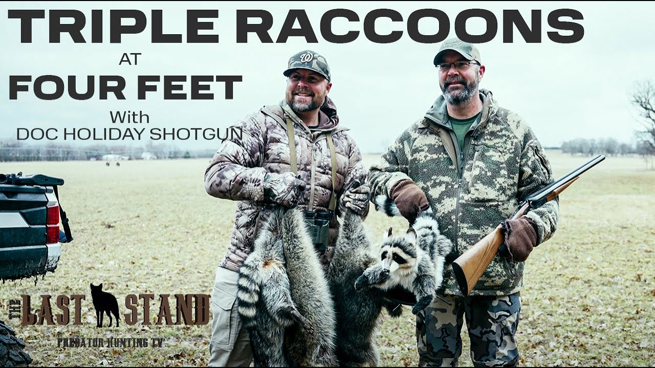 Triple On Raccoons at FOUR FEET With Doc Holiday Shotgun! | The Last ...