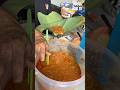 Jualan toge goreng legendaris sudah 23 tahun #kulinerviral #streetfood #visitkuliner #ideusaha