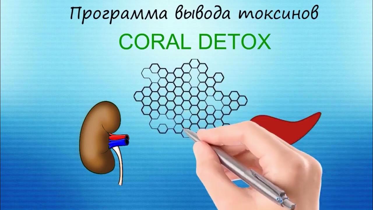 Программа Корал Детокс коротко, 4 минуты - YouTube