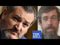 FIERY VIRAL VIDEO: Ted Cruz BLOWS UP at Twitter CEO Jack Dorsey: "Who the HELL elected you?"