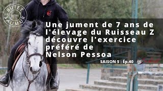 La jument prodige de l’Elevage du Ruisseau Z découvre l’exercice préféré de Nelson Pessoa