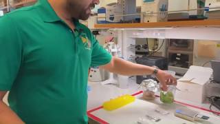 Outbreaks of foodborne illnesses especially bad this year according to FDA data